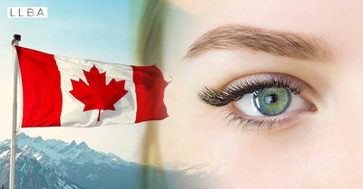 How to choose the best supplier for eyelashes in Canada