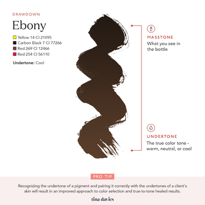 Brow Pigments Ebony